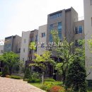 동백5로 이미지