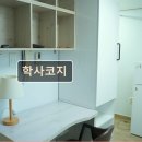 학사코지