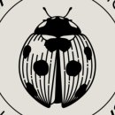 건식농장 이미지