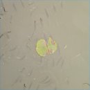 파주정수농장 | [퍼스트가든]-아이와 함께하기 좋은 곳, 데이트코스로 좋은 곳, 밤이 되면 환상의 빛나라가 되는 곳