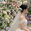 더 문(THE MOON) 이미지