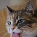 어느날그루밍 이미지