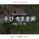 속초SM드론교육원 | 📢 속초문화재단에서 전하는 ❝주간 속초문화(8월 1주 차)❞