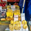 대영청과 이미지