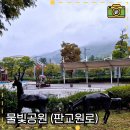 물빛공원작은도서관 | 물빛공원 판교원로 가볼만한 휴식공간