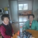 초포경로당 Daum카페