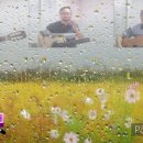 사랑의 노래 이미지