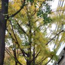 장자대로 이미지