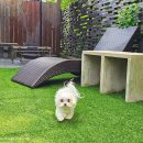 반스힐리조트 이미지