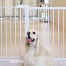 초이스펫 이미지