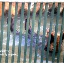 전주동물원 이미지