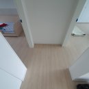 무지개대림 이미지