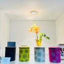 아이들랜드 이미지