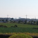 안성교차로(일주도로) 2 이미지