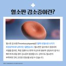 탄현동물병원 이미지