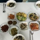 의림대로16길 | 인생에 한번 정도면 충분한 - 2월 설날~3월 초