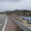 고랑포길 이미지