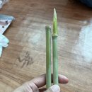 [동락점빵 이동장터 이야기] 8월 7일 운행기록 이미지