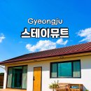 스테이 뮤트 이미지