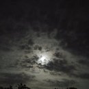 구르메 달 가드시 이미지