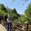 장기5교 | [등산] 창원 &#39;비음산&#39; 철쭉현황 초보 등산코스, 매년 가는 내 최애산 오늘은 혼산행 도전!