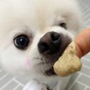 길쭉납짝 이미지