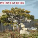 남해-264 이미지