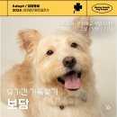 보담/남아/3살 이미지