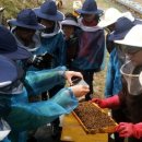 의성군농업기술센터 이미지