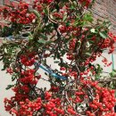 송운농장 이미지