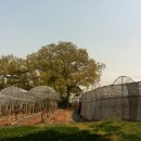 송산포도원혜농원