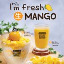 빈스빈스(BEANS BINS) 이미지