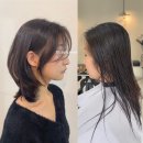 232 | 대전뷰티인사이드헤어 단발중단발 레이어드컷 윈드컷 윈드펌 단발컨설팅 후기 좋은 미용실