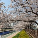 율하유적전시관 광장앞 이미지