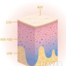 이뿐피부 네이버블로그