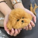 니들펠트 | [니들펫 동탄] 2025 상반기 양모펠트 수업 후기✨수강생 작품모음_jpg