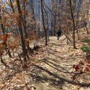 원주굽이길 11코스 혁신도시둘레길 이미지