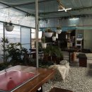 강씨농장 이미지