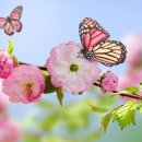 손*진 - 미추홀구 숙골로43번길 30 | 손*진