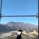 바다사우나 | [고성 1박2일 여행] 고성 소노펠리체 델피노 소노벨 EAST 패밀리 설악마운틴뷰, 인피니티풀, 카페 더...