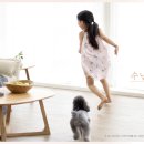 답십리초교병설유치원 이미지