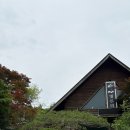 시골빛두리 | 가평 두부전골맛집 빛두리 감자전 내돈내산 후기
