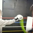 정일복싱 이미지