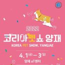 더페어스 뉴스1