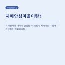 혜화동 치매안심마을, 동네 상점이 바뀐 진짜 이유와 변화 가이드