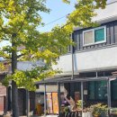 영희네집밥 이미지