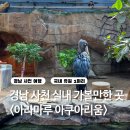 유영농장 | 경남 사천 실내 가볼만한곳 아라마루아쿠아리움 케이블카 슈빌 하마 시간표