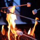 포켓하우스 이미지