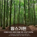 한 사람의 나무심기-소소해도 큰 사랑 국제위러브유운동본부(회장 장길자) 맘스가든 프로젝트 이미지