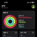 마이 짐 휘트니스 이미지